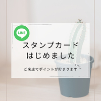 画像388