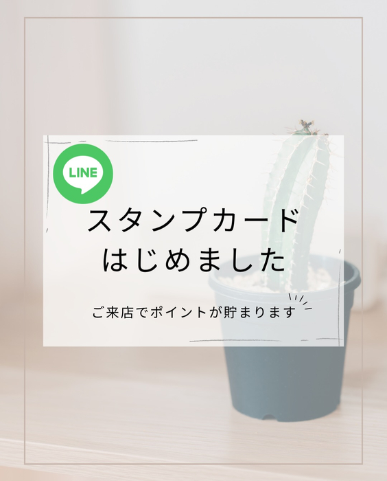 画像388